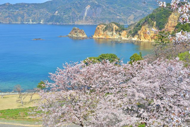 🏞️ 황금곶 공원(코가네자키 코엔) 이미지 4